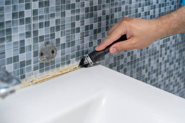 Best Commercial Mold Removal  in Maple Plain, MN